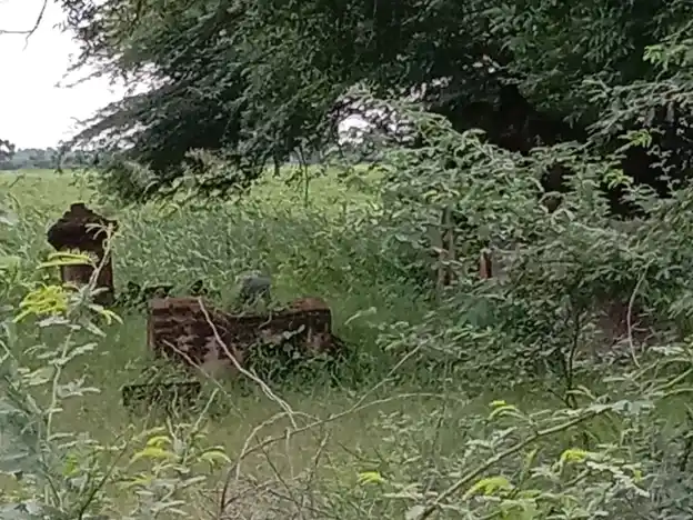 Arulmigu Karupanar Temple, Andipattakadu - 621701 அருள்மிகு கருப்பனார் திருக்கோயில், Andipattakadu - 621701, Ariyalur - Ancient Temple Architecture and History Image 5