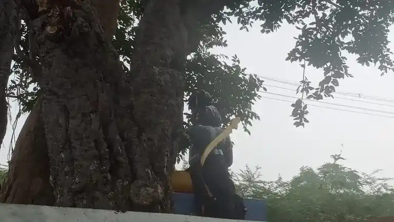 Arulmigu Karupanar Temple, Kodalikarupur - 612902 Arulmigu Karupanar Temple, Kodalikarupur - 612902, Ariyalur - Ancient Temple Architecture and History Image 4