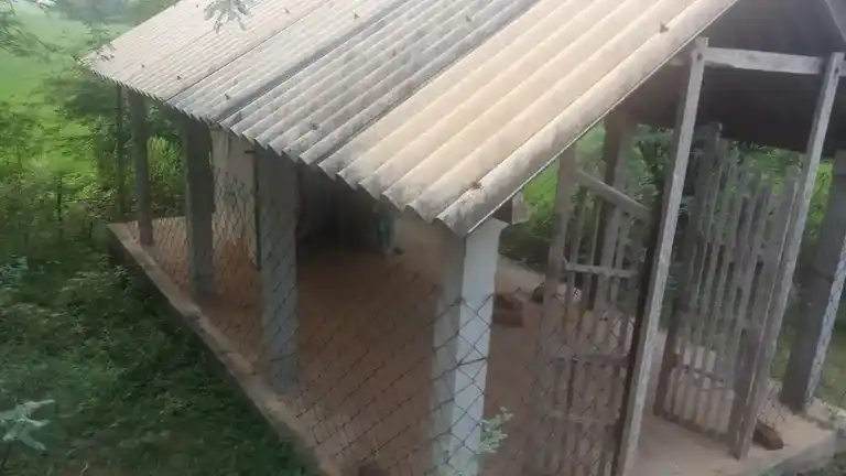 Arulmigu Karupanar Temple, Thenkachiperumalnatham - 612904 Arulmigu Karupanar Temple, Thenkachiperumalnatham - 612904, Ariyalur - Ancient Temple Architecture and History Image 3