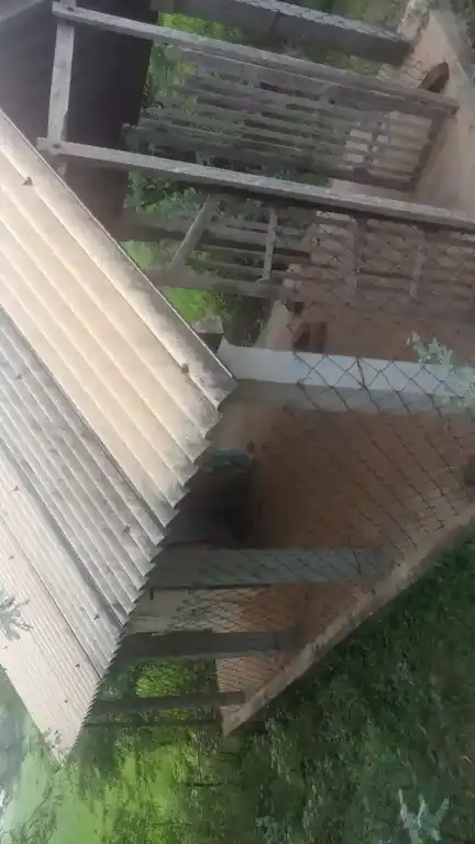 Arulmigu Karupanar Temple, Thenkachiperumalnatham - 612904 Arulmigu Karupanar Temple, Thenkachiperumalnatham - 612904, Ariyalur - Ancient Temple Architecture and History Image 4