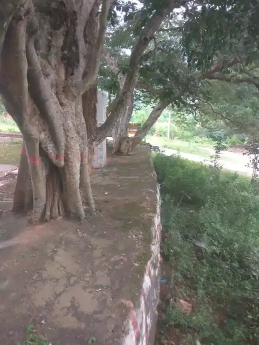 Arulmigu Karupanna Swamy Temple, A.Kombai - 624801 அருள்மிகு கருப்பண்ணசாமி திருக்கோயில், A.Kombai - 624801, Dindigul - Ancient Temple Architecture and History Image 6