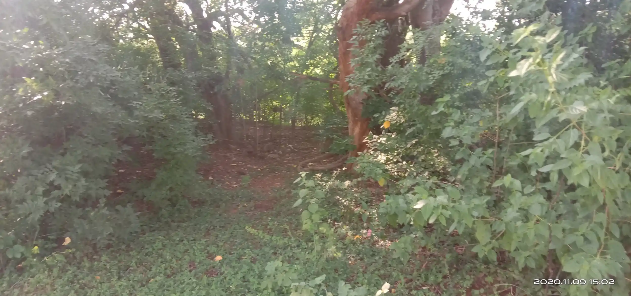 Arulmigu Karupanna Swamy Temple, Sethur - 624401 அருள்மிகு கருப்பணசாமி திருக்கோயில், Sethur - 624401, Dindigul - Ancient Temple Architecture and History Image 2