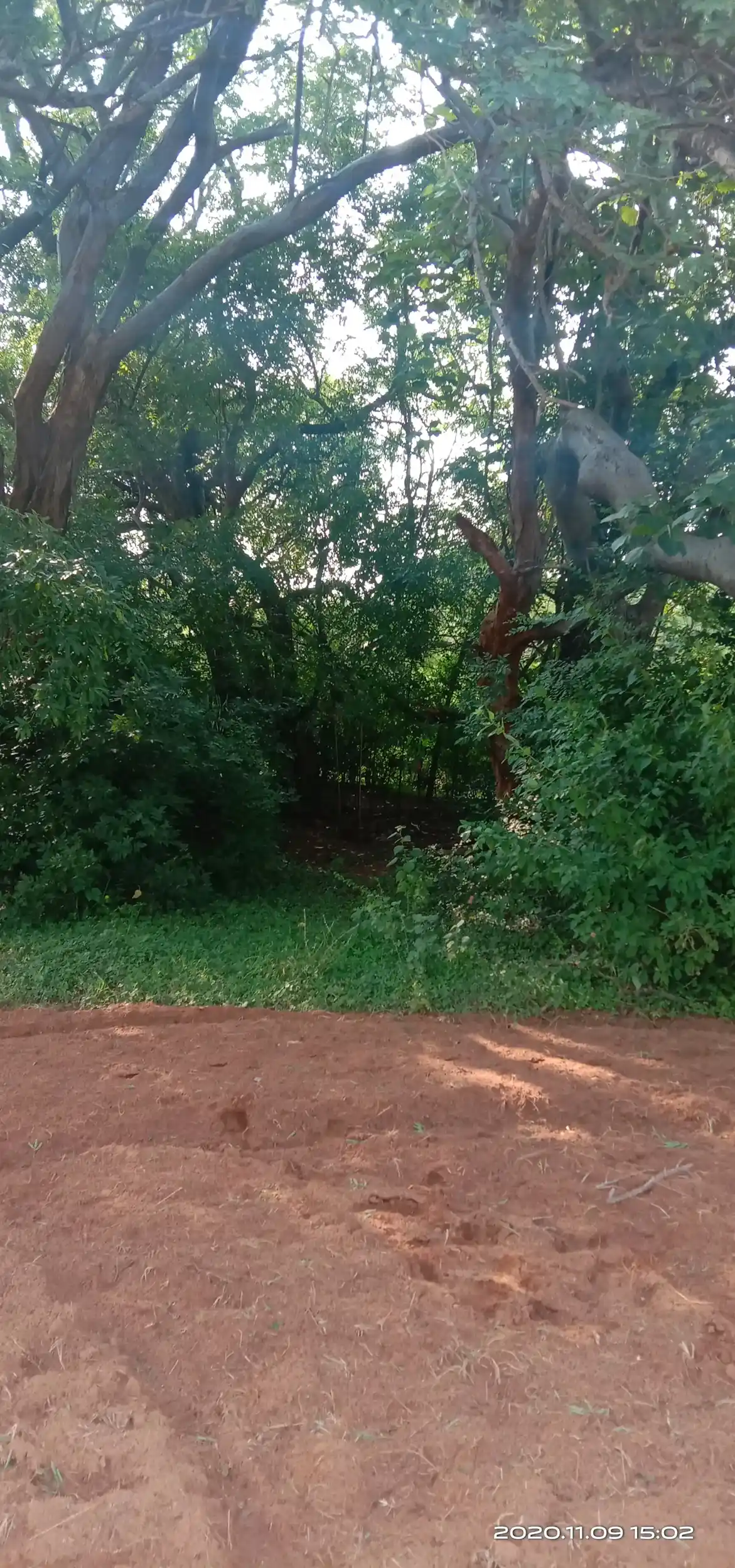 Arulmigu Karupanna Swamy Temple, Sethur - 624401 அருள்மிகு கருப்பணசாமி திருக்கோயில், Sethur - 624401, Dindigul - Ancient Temple Architecture and History Image 4