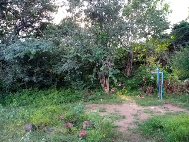 Arulmigu Karupannaswamy Temple, Ammapatti - 621307 Arulmigu Karupannaswamy Temple, Ammapatti - 621307, Thiruchirappalli - Ancient Temple Architecture and History Image 2