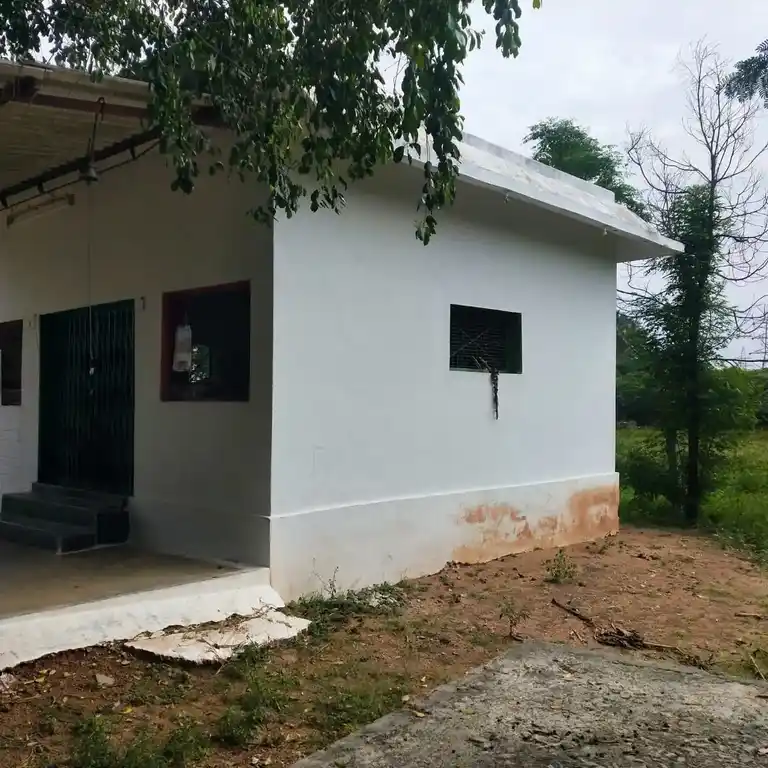 Arulmigu Karuparayasamytemple, Polanayaganpalayam, Polanayaganpalayam - 638116 Temple