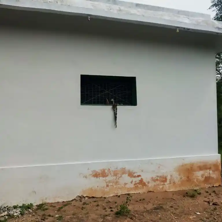 Arulmigu Karuparayasamytemple, Polanayaganpalayam, Polanayaganpalayam - 638116 அருள்மிகு கருப்பராயசாமி திருக்கோயில், போலாநாயக்கன்பாளையம், Polanayaganpalayam - 638116, Erode - Ancient Temple Architecture and History Image 5