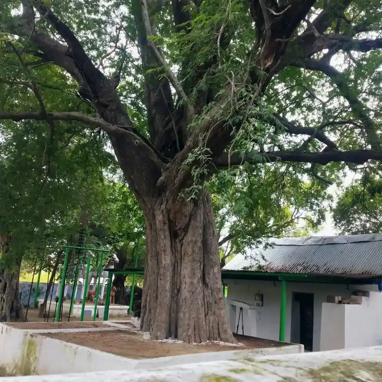 Arulmigu Karuparayaswamy Temple, Kallakulam, Kallakulam - 638052 அருள்மிகு கருப்பராயசாமி திருக்கோயில், கள்ளக்குளம், Kallakulam - 638052, Erode - Ancient Temple Architecture and History Image 4