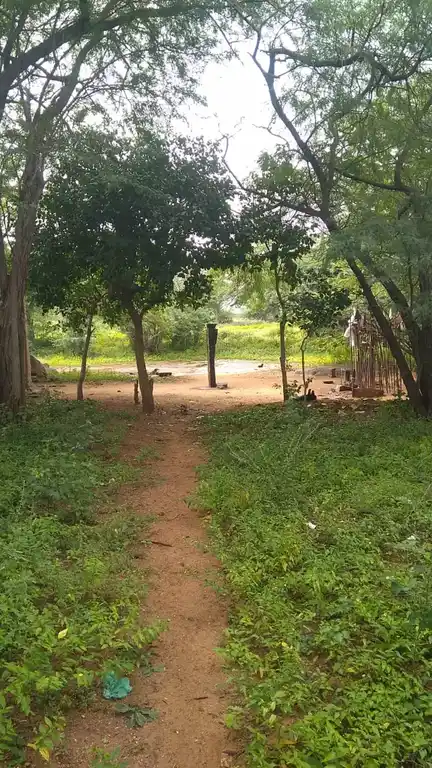 Arulmigu Karupasamy Temple, Sekkanam - 621307 Arulmigu Karupasamy Temple, Sekkanam - 621307, Thiruchirappalli - Ancient Temple Architecture and History Image 4