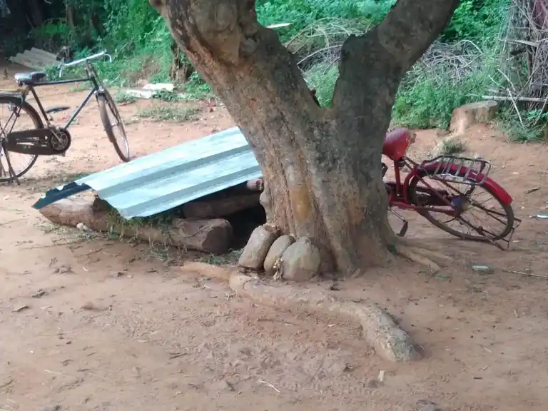 Arulmigu Karuppanaar Temple, Parigam - 606207