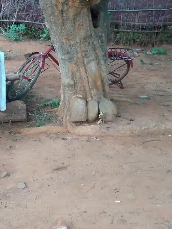 Arulmigu Karuppanaar Temple, Parigam - 606207 அருள்மிகு கருப்பனார் திருக்கோயில், Parigam - 606207, Kallakurichi - Ancient Temple Architecture and History Image 2