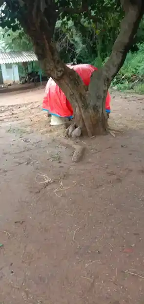 Arulmigu Karuppanaar Temple, Parigam - 606207 அருள்மிகு கருப்பனார் திருக்கோயில், Parigam - 606207, Kallakurichi - Ancient Temple Architecture and History Image 3