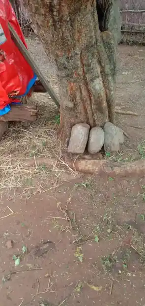 Arulmigu Karuppanaar Temple, Parigam - 606207 அருள்மிகு கருப்பனார் திருக்கோயில், Parigam - 606207, Kallakurichi - Ancient Temple Architecture and History Image 4