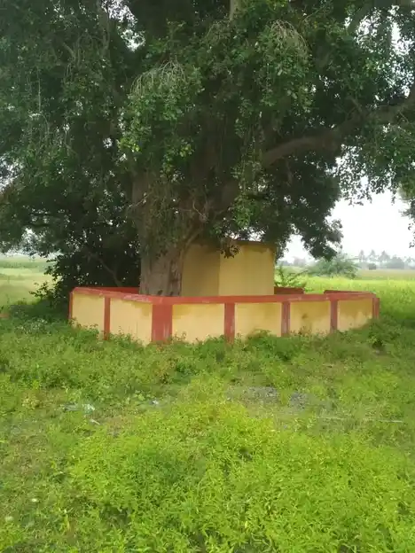 Arulmigu Karuppanaar Temple, Raayappanur - 606201