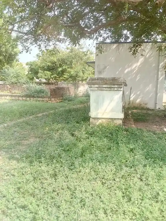 Arulmigu Karuppanar Temple, Kattupiringiyam - 621704 அருள்மிகு கருப்பணார் திருக்கோயில், காட்டுபிரிங்கியம் - 621704, Ariyalur - Ancient Temple Architecture and History Image 2