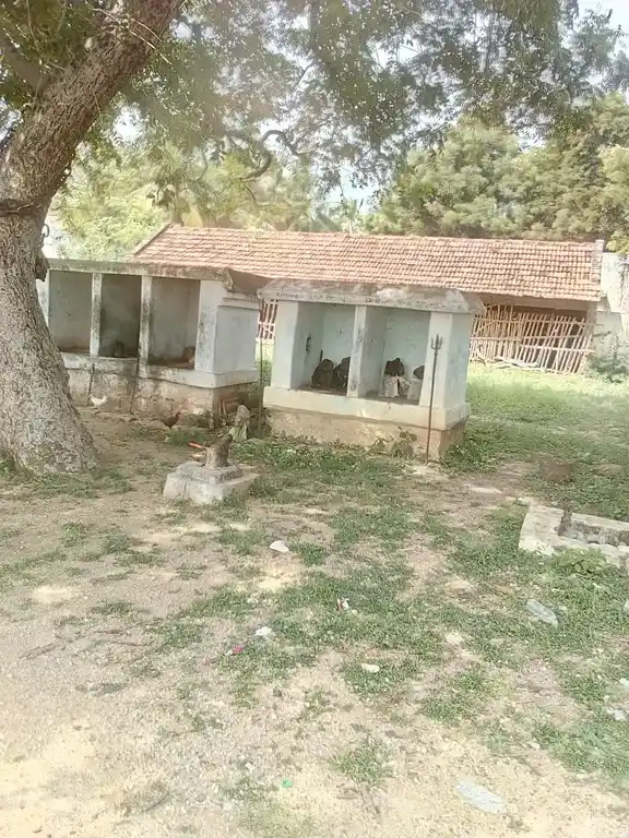 Arulmigu Karuppanar Temple, Kattupiringiyam - 621704 அருள்மிகு கருப்பணார் திருக்கோயில், காட்டுபிரிங்கியம் - 621704, Ariyalur - Ancient Temple Architecture and History Image 3