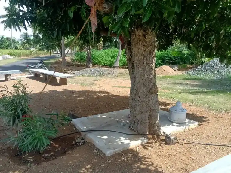 Arulmigu Karuppanar Temple, Mullukkurichi - 636142