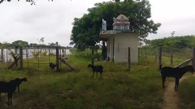 Arulmigu Karuppanar Temple, Muniyankurichi - 621704 Temple