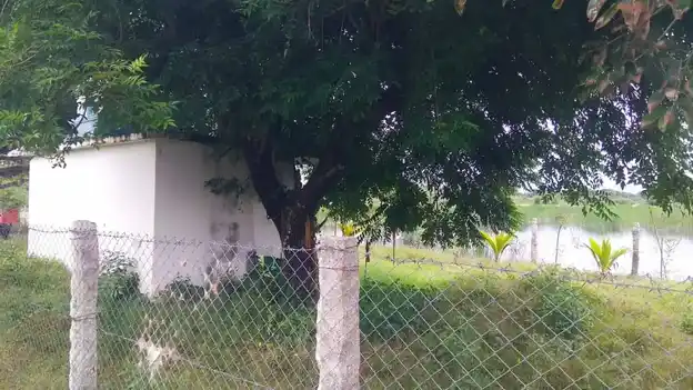 Arulmigu Karuppanar Temple, Muniyankurichi - 621704 Arulmigu Karuppanar Temple,  - 621704, Ariyalur - Ancient Temple Architecture and History Image 2