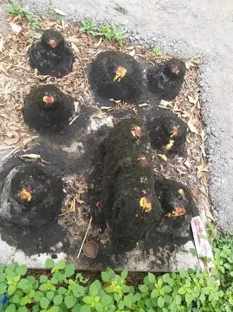 Arulmigu Karuppanar Temple, Noothapur - 621117 Temple