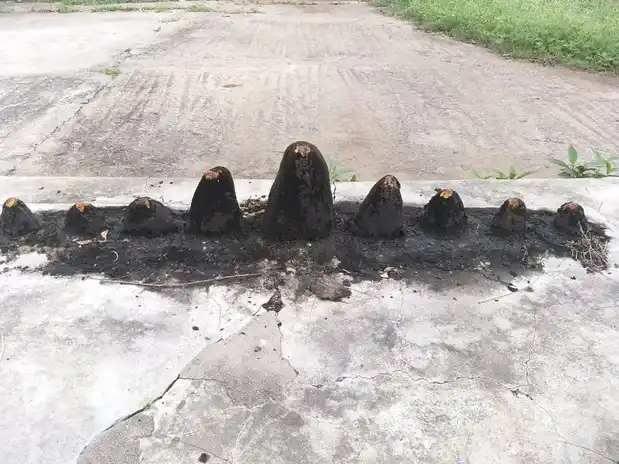 Arulmigu Karuppanar Temple, Noothapur - 621117 Arulmigu Karuppanar Temple, Noothapur - 621117, Perambalur - Ancient Temple Architecture and History Image 3