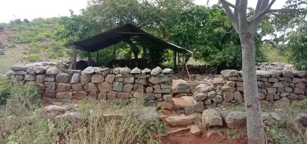 Arulmigu Karuppanar Temple, Therani - 621109 Arulmigu Karuppanar Temple,  - 621109, Perambalur - Ancient Temple Architecture and History Image 2