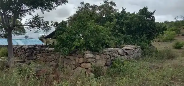Arulmigu Karuppanar Temple, Therani - 621109 Arulmigu Karuppanar Temple,  - 621109, Perambalur - Ancient Temple Architecture and History Image 4