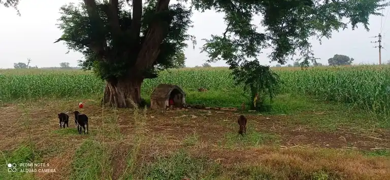 Arulmigu Karuppanar Temple, Velivimangalam - 621212 Arulmigu Karuppanar Temple, வேள்விமங்களம் - 621212, Perambalur - Ancient Temple Architecture and History Image 3