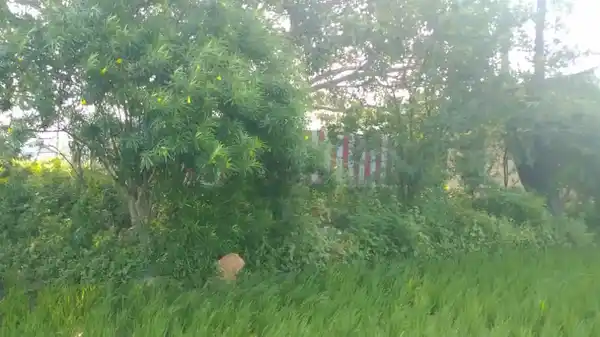 Arulmigu Karuppanasamy Temple, Athalai - 625018 அருள்மிகு கருப்பண்ணசாமி திருக்கோயில், Athalai - 625018, Madurai - Ancient Temple Architecture and History Image 2