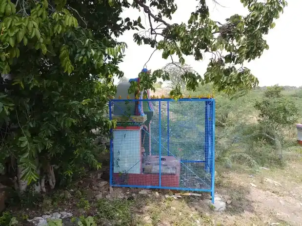 Arulmigu Karuppanasamy Temple, Ayathampatti - 625106 அருள்மிகு கருப்பணசுவாமி கோயில், Ayathampatti - 625106, Madurai - Ancient Temple Architecture and History Image 6