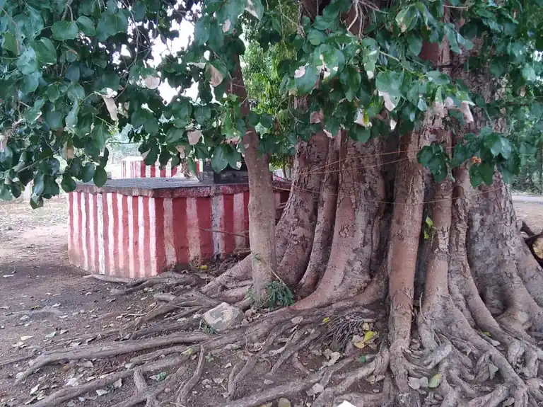 Arulmigu Karuppanasamy Temple, Chinnapatti - 625014 கருப்பணசாமி கோயில், Chinnapatti - 625014, Madurai - Ancient Temple Architecture and History Image 4