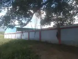 Arulmigu Karuppanasamy Temple, Govindanallur, Govindanallur - 606138 அருள்மிகு கருப்பசாமி திருக்கோயில், கோவிந்தநல்லுர், கோவிந்தநல்லுர் கிராமம் - 606138, Virudhunagar - Ancient Temple Architecture and History Image 6