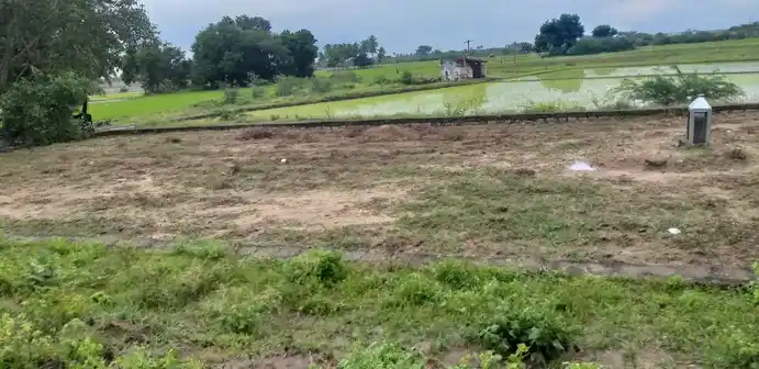Arulmigu Karuppanasamy Temple, Jothimanikkam - 625514 கருப்பணசாமி திருக்கோயில், Jothimanikkam - 625514, Madurai - Ancient Temple Architecture and History Image 2