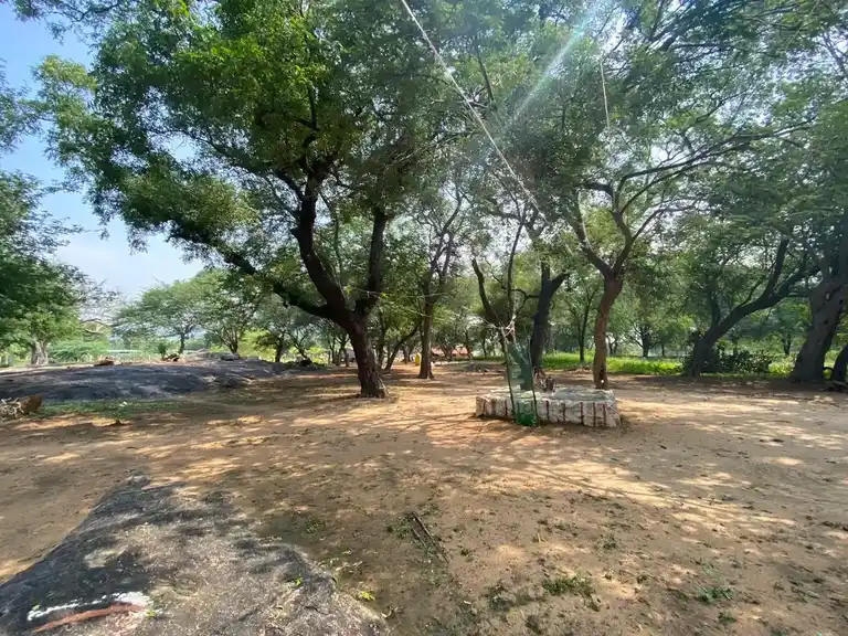 Arulmigu Karuppanasamy Temple, Kallampatti - 625014 கல்லம்பட்டி கருப்பணசாமி கோயில், Kallampatti - 625014, Madurai - Ancient Temple Architecture and History Image 3