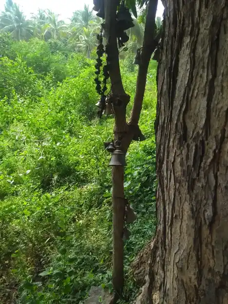 Arulmigu Karuppanasamy Temple, Senthamagalam - 625503 அருள்மிகு கருப்பணசாமி திருக்கோயில், Senthamagalam, Senthamagalam - 625503, Madurai - Ancient Temple Architecture and History Image 2