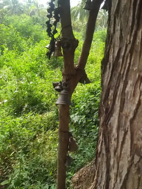 Arulmigu Karuppanasamy Temple, Senthamagalam - 625503 அருள்மிகு கருப்பணசாமி திருக்கோயில், Senthamagalam, Senthamagalam - 625503, Madurai - Ancient Temple Architecture and History Image 3