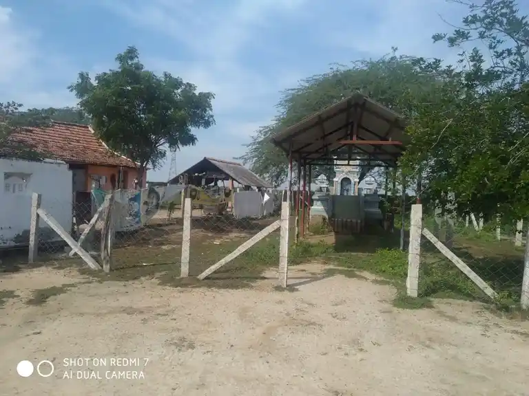 Arulmigu Karuppanasamy Temple, Vadakkuseyyanendal, Vadakkuseyyanendal - 630303