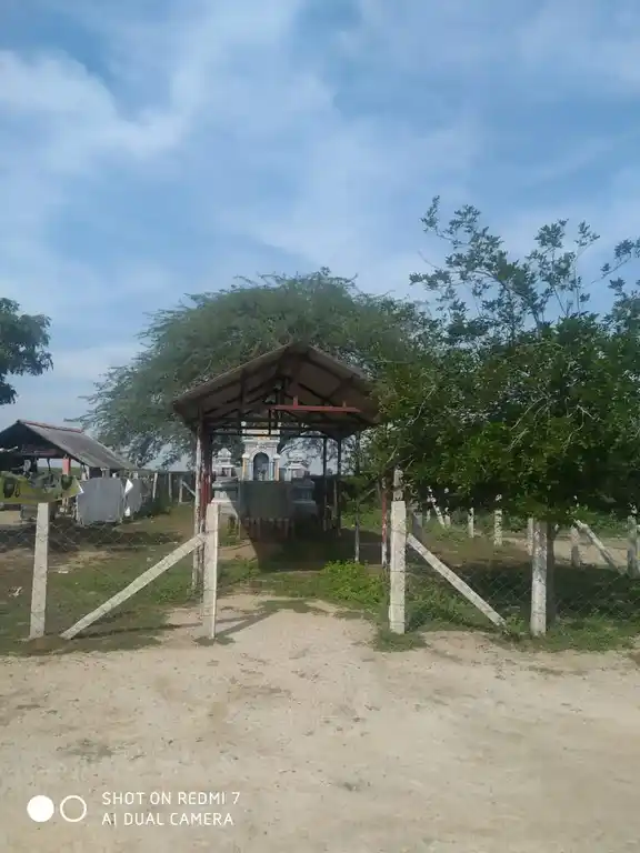 Arulmigu Karuppanasamy Temple, Vadakkuseyyanendal, Vadakkuseyyanendal - 630303 அருள்மிகு கருப்பணசாமி திருக்கோயில், Vadakkuseyyanendal, வடக்குசெய்யனேந்தல் - 630303, Sivagangai - Ancient Temple Architecture and History Image 4