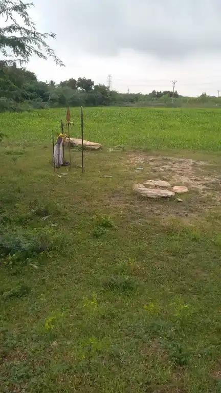 Arulmigu Karuppanaswamy Temple, Mugavanour - 621303