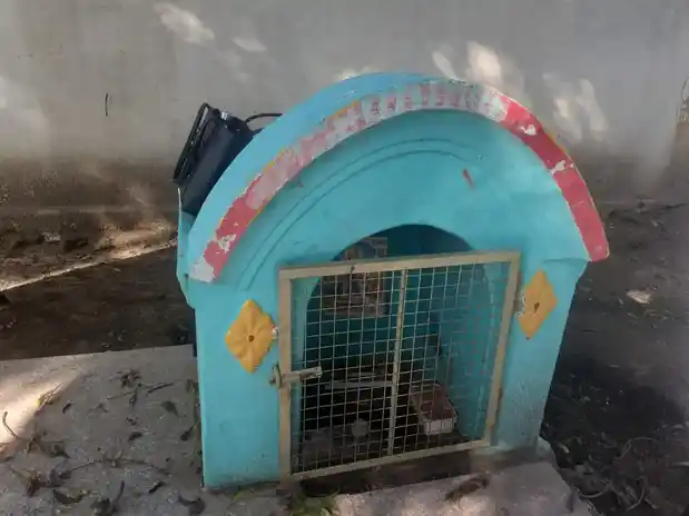 Arulmigu Karuppanaswamy Temple, Thirumangalam - 621703