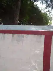 Arulmigu Karuppannasamy Temple, Punjaipalathozhuvu - 638051 Temple