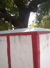 Arulmigu Karuppannasamy Temple, Punjaipalathozhuvu - 638051 அருள்மிகு கருப்பண்ணசாமி திருக்கோயில், புஞ்சை பாலத்தொழுவு - 638051, Erode - Ancient Temple Architecture and History Image 3