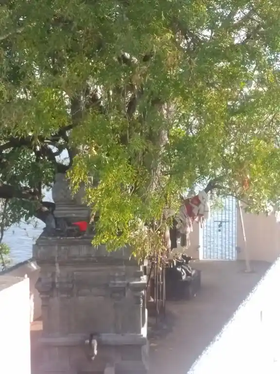 Arulmigu Karuppannasamy Temple, Thogur - 613102 அருள்மிகு கருப்பண்ணசாமி திருக்கோயில், Thogur - 613102, Thanjavur - Ancient Temple Architecture and History Image 2