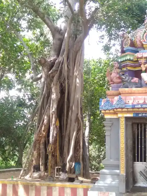 Arulmigu Karuppannaswamy Temple, Thirumanamedu - 621218 Arulmigu Karuppannaswamy Temple, Thirumanamedu - 621218, Thiruchirappalli - Ancient Temple Architecture and History Image 3