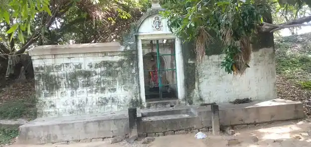 Arulmigu Karuppar Pidaari Temple, Govinda Naikkanpatti - 622102 அருள்மிகு கருப்பர் பிடாரி திருக்கோயில், Govinda Naikkanpatti - 622102, Pudukkottai - Ancient Temple Architecture and History Image 3