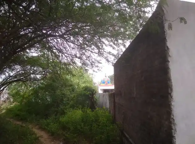 Arulmigu Karuppar Pidaari Temple, Theivanayaganpatti - 621316 அருள்மிகு கருப்பர் பிடாரி திருக்கோயில், Theivanayaganpatti - 621316, Pudukkottai - Ancient Temple Architecture and History Image 4