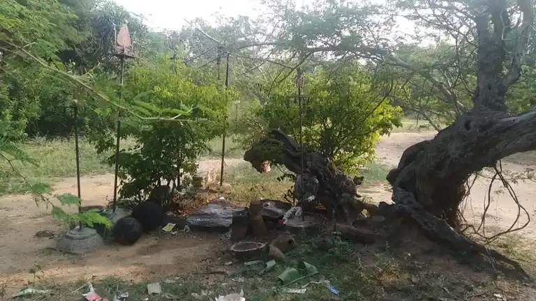 Arulmigu Karuppar Temple, Kaikkudipatti - 622101 Temple