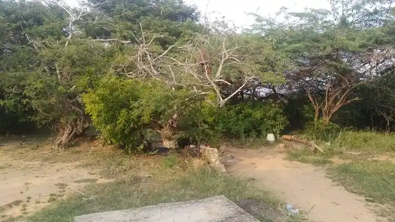 Arulmigu Karuppar Temple, Kaikkudipatti - 622101 Arulmigu Karuppar Temple, Kaikkudipatti - 622101, Pudukkottai - Ancient Temple Architecture and History Image 3