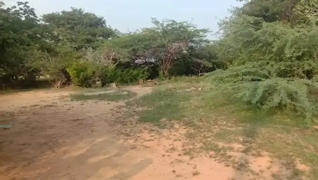 Arulmigu Karuppar Temple, Kaikkudipatti - 622101 Arulmigu Karuppar Temple, Kaikkudipatti - 622101, Pudukkottai - Ancient Temple Architecture and History Image 4