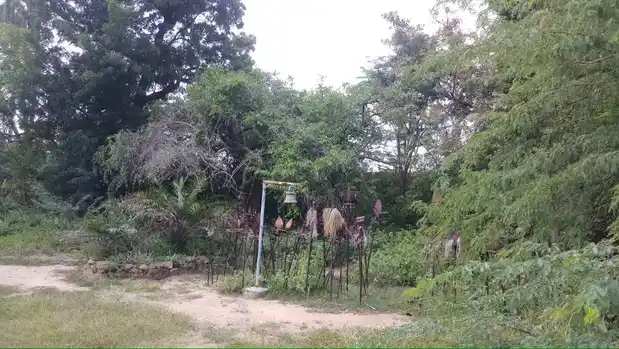 Arulmigu Karuppar Temple, Kumarappatti - 621316 அருள்மிகு கருப்பர் திருக்கோயில், குமரப்பட்டி - 621316, Pudukkottai - Ancient Temple Architecture and History Image 3