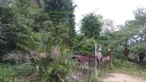 Arulmigu Karuppar Temple, Kumarappatti - 621316 அருள்மிகு கருப்பர் திருக்கோயில், குமரப்பட்டி - 621316, Pudukkottai - Ancient Temple Architecture and History Image 4